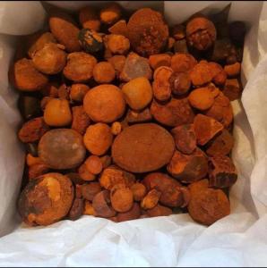 Wholesale natural stone: Dried Cow Gall Stones / Ox Gallstones/ Cattle Gallstone
