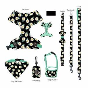 Wholesale dog leash: Velvet Walking Cat Harness Vest