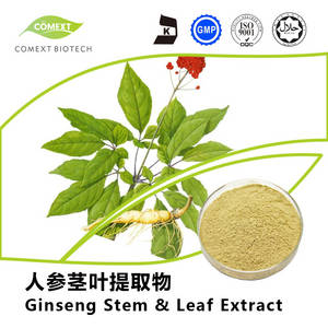 Wholesale siberian ginseng extract: Pesticide Free Panax Ginseng Leaf Extract Ginsenosides