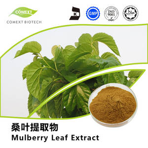 Wholesale mulberry: Mulberry Leaf Extract 1-DNJ 1%~5% Powder