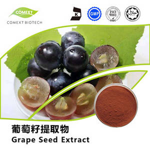 Wholesale cas no.84929-27-1: Grape Seed Extract 95% OPC Powder
