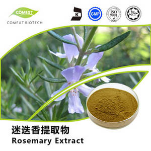 Wholesale mouse repeller: Carnosic Acid 5%~90% Antioxidant Rosemary Leaf Extract