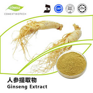 Wholesale panax ginseng: Panax Ginseng Root Extract Ginsenosides 1%~30%
