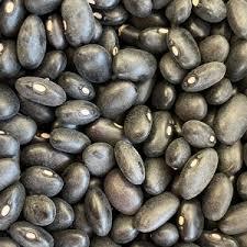 Wholesale Bean Products: Export Black Kidney Beans Light Speckled High Quality Black Kidney Beans Cheap Price