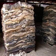 Wholesale shoes: Wet Salted Cow Skins