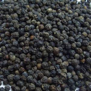 Wholesale pepper: Black Pepper Bulk Raw