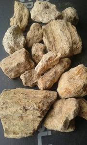 Wholesale Agricultural Product Stock: Damar Batu