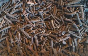 Wholesale pipli: Long Pepper Wholesale pipli: Long Pepper