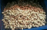 Cashew Kernel