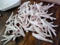 Grade A Processed Frozen Chicken Feet/Paws /Wings for Sale