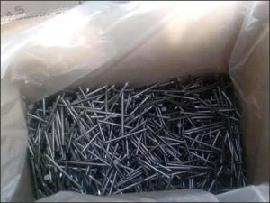 Wholesale wire nail: Steel Common Wire Nails