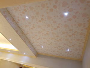 Wholesale Acoustic Suspended Ceiling Acoustic Suspended Ceiling