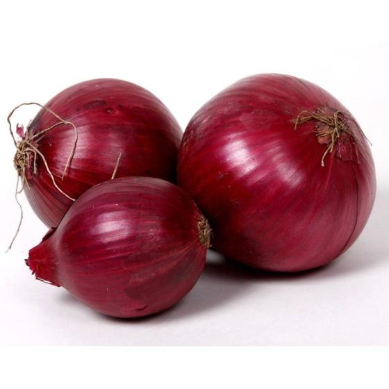 Sell Red onions from Germany (Onion Set Red Comred).