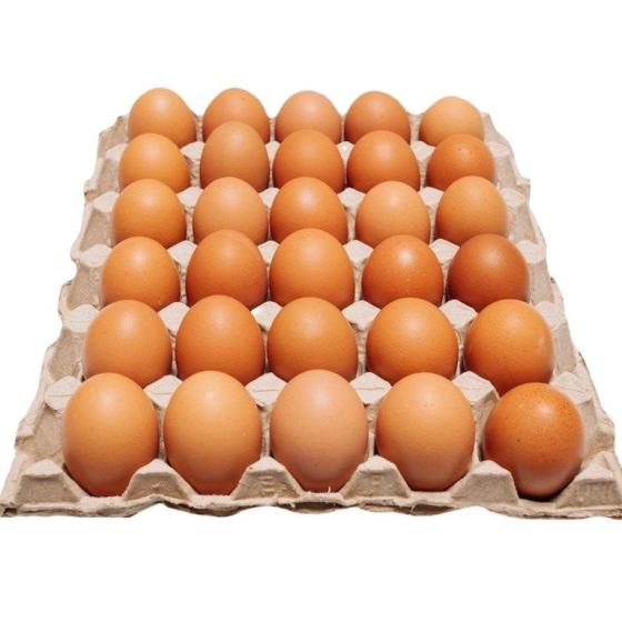 Sell Fresh Free Range Brown Eggs from Chicken