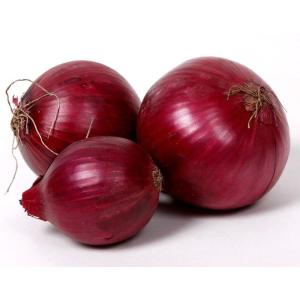 Wholesale t: Red Comred Onion (Deep Red Onions From Germany).