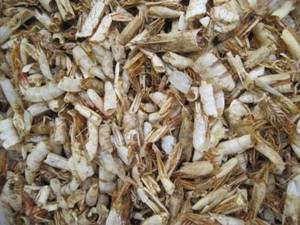 Wholesale Dried Food: Dried Shrimp Shell