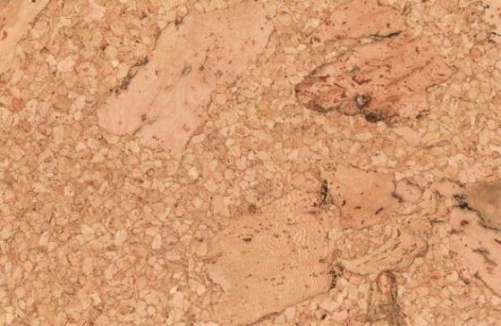 Cork Flooring
