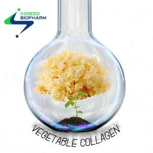 Wholesale key hold: Vegetable Collagen Plant-Based Collagen Cosmetic Ingredient Skin Moisturizer