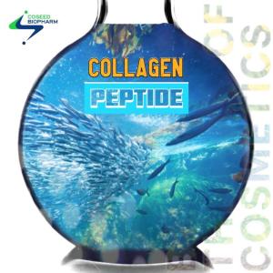 Wholesale elasticity: Collagen Peptide 300 Cosmetic Ingredient Skin Elasticity