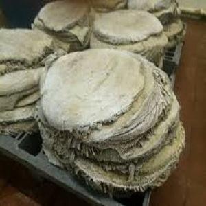 Wholesale Meat & Poultry: Salted Beef Omasum, Beef Pizzles, Cow Horns