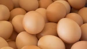 Wholesale Dairy: Fresh Chicken Table Eggs, Hatching Eggs,Quail Eggs,Ostrich Eggs