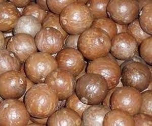 Wholesale Nuts & Kernels: Macadamia Nuts, Cashew Nuts,Almond Nuts,Betel Nuts,Hazel Nuts,Sesame Seeds