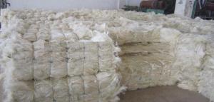 Wholesale Fiber: Cream White Sisal Fibre UG Grade A, Sisal Fibre for Gypsum