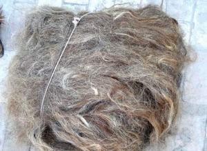 Wholesale natural hair dye: Cattle Tail Hair, Cow Tail Hair,Sheep Wool, Horse Tail Hair