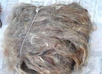Cattle Tail Hair, Cow Tail Hair,Sheep Wool, Horse Tail Hair