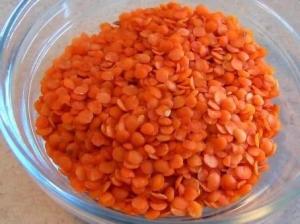 Wholesale lentil: Whole Red Lentils Masoor Dal, Black Lentils Masoor Dal Organic Cultivation
