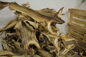Wholesale hot sell: Dried StockFish Frozen Stock Fish