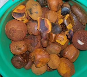 Wholesale cow ox gallstone: OX Gallstones for Sale,Cow Gallstones WHATSAPP NUMBER+1(760) 6182074