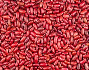 Wholesale white kidney bean: White Kidney Beans, Red Kidney  Beans for Sale 2019 Group Year.