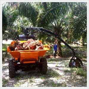 Wholesale engine care: Agricultural Tractor (Tiger G1500)