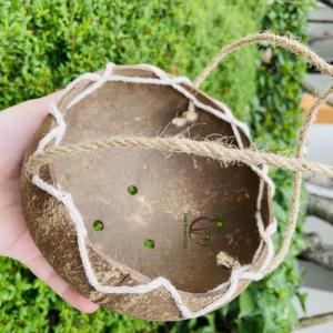 Wholesale coconut pots: Coconut Shell Planter Pot