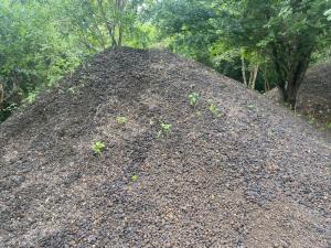 Wholesale mn ore: Manganese Ore Wholesale mn ore: Manganese Ore