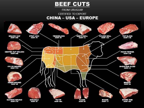 Sell BEEF CUTS