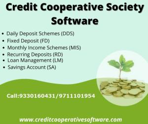 Wholesale Computer & Information Technology Services: Credit Cooperative Society Software