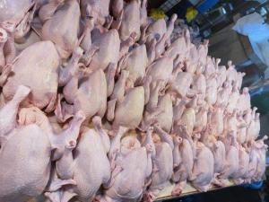 Wholesale frozen chicken: Top Quality Frozen Chicken, Beef and Pork Available