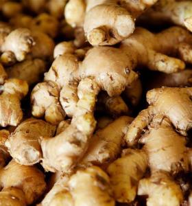 Wholesale ginger: Ginger-Zingiber Officinale
