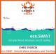 Chris Svorcik - Ecs.SWAT - Simple Wave Analysis and Trading - TRADING COURSES CHEAP