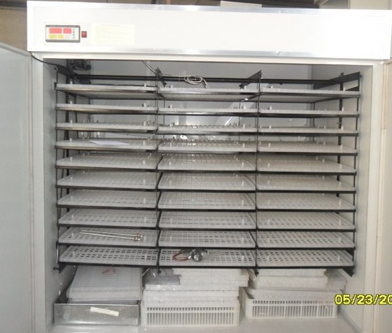 Cheapest  Good Quality Automatic Chicken Egg Incubator