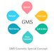 Gms Company Logo