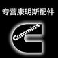 YZCUMMINS Co.,Ltd Company Logo