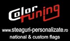 Sc Color Tuning Srl Company Logo