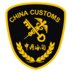 Customs Broker Company Logo