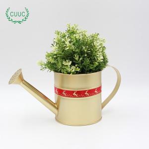 Wholesale Agriculture: Modern Home Garden Zinc Iron Watering Can Planter Flower Pot for Xmas Indoor Plants