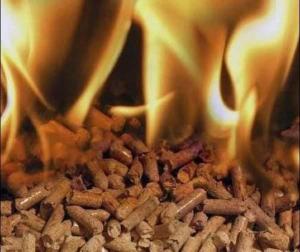 Wholesale for sale: High Quality Wood Pellets for Sale