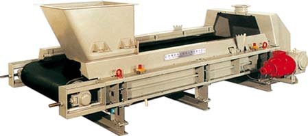 Specialized Design and Manufacture of Electric Belt Weigh Feeder ...