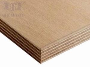 Wholesale Other Commercial Furniture: Beech Plywood